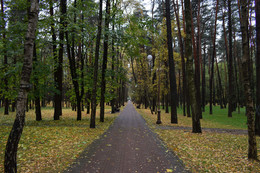 Autumn paths / ***