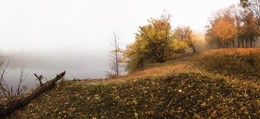 Misty autumn / ***