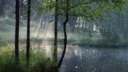 By the pond ... / ***