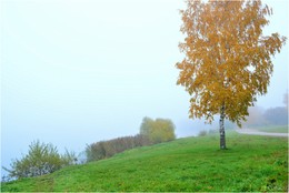 in the autumn mist / ***