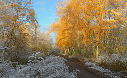 First snow / nikond600 24-70 2.8