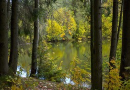 Autumn colors ... / ***