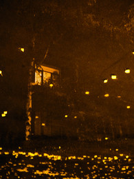 Autumn Dreams / ***
