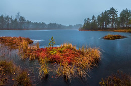 Autumn island / ***