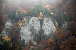 Fog in the mountains / ***