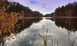 Autumn forest lake / ***