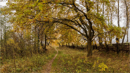 Autumn / ***