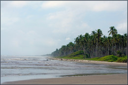 Morning at the sea / ***