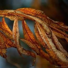 &nbsp; / music: GEORGE BENSON - Affirmation - vinyl
https://www.youtube.com/watch?v=htkPh_D4bWg