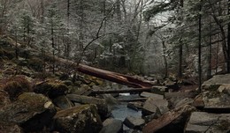 First snow in the mountains. / ***