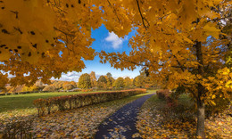 Autumn in the city / ***