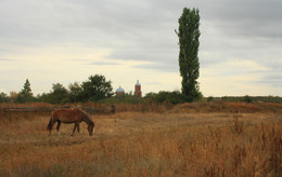 Rural landscape / ***