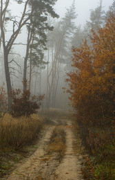 The road to autumn / ***