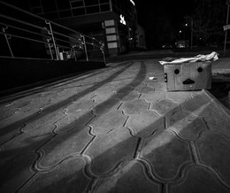 The city sleeps / ***