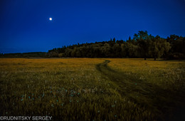 The road at night / ***