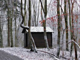 Seasons / ***