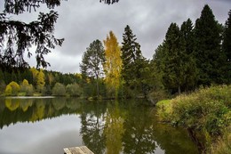 Pond / ***
