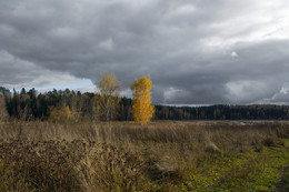 Autumn landscape / ***