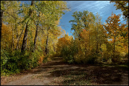 Autumn sketches / ***