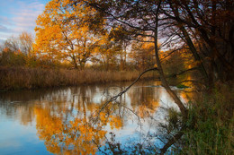 By the river / ***