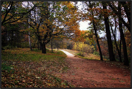 Road by walking / ***