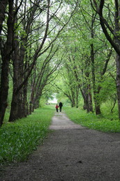 Road by walking / ***