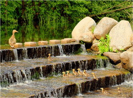 Road by walking / ***