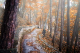 The road to autumn / ***