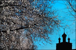 After snowfall / ***