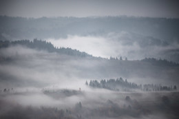 morning sedoe / https://max-helloween.livejournal.com/153419.html