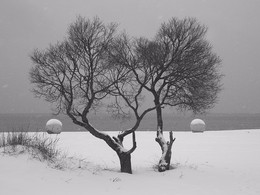 Winter beach / ***