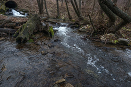 The stream ... / ***