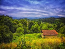 Before the storm / ***