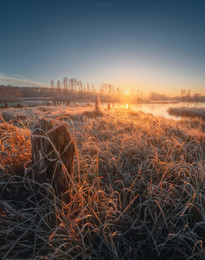 frosty morning / ***