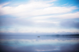 there behind fogs / ***