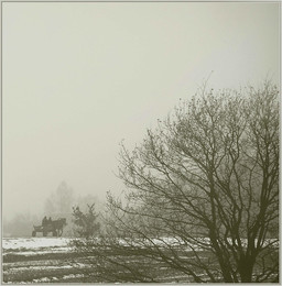 there behind fogs / ***