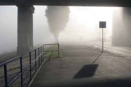 there behind fogs / ***