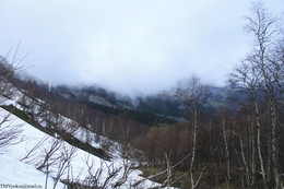 there behind fogs / ***