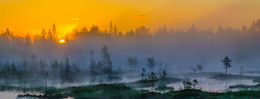 there behind fogs / ***