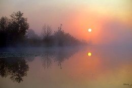 there behind fogs / ***