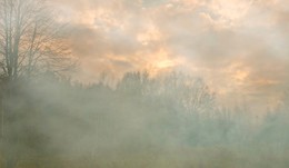 Autumn mists / ***