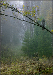 guard over the rest three / .....