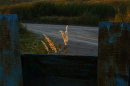 Evening / ***
