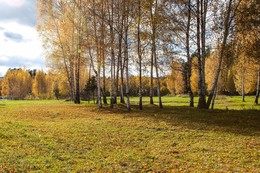 Autumn landscape. / ***