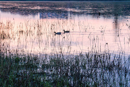 In the sunset hour / ***