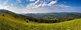 The June panorama / ***