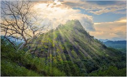 seeing the sun / ***