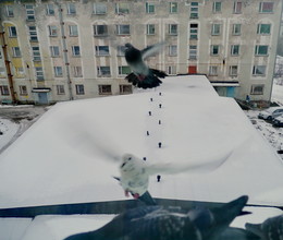 Urban sketches / ***