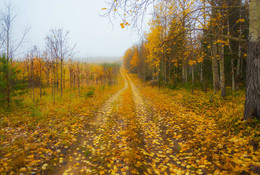 On the threshold of autumn / ***