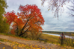 colors of autumn / ***